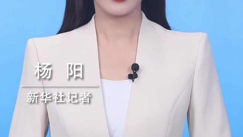 数据可视化：常用技巧解析与优缺点分析